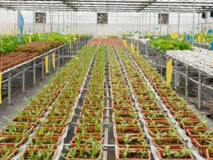 freehold-production-nursery-residence-seq-2
