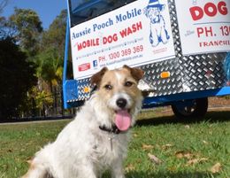 Established Mobile Dog Wash business with regular clients in Caloundra 