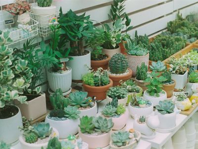 modern-boutique-florist-with-soul-1-5m-revenue-amp-10-year-legacy-3