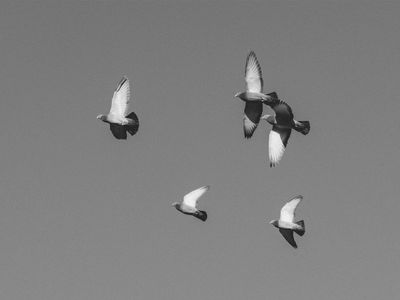 meaningful-funeral-videography-business-143k-profit-6