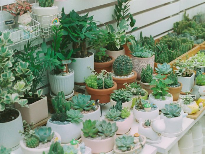 modern-boutique-florist-with-soul-1-5m-revenue-amp-10-year-legacy-3