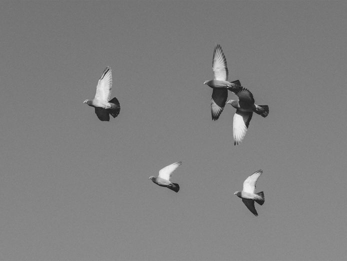 meaningful-funeral-videography-business-143k-profit-6