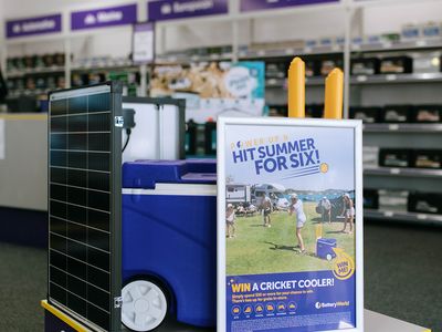 own-battery-world-dubbo-established-store-with-growth-potential-2