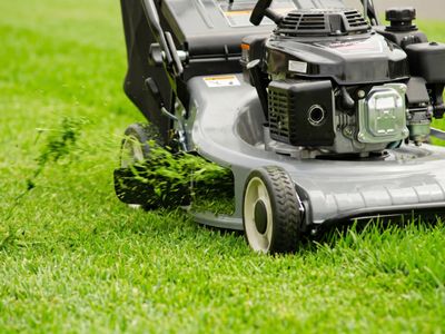 fox-mowing-gardening-new-franchise-in-melbournes-west-turnover-guaranteed-4