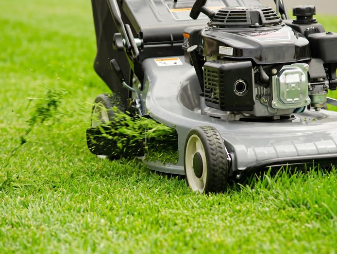 fox-mowing-gardening-new-franchise-in-melbournes-west-turnover-guaranteed-4
