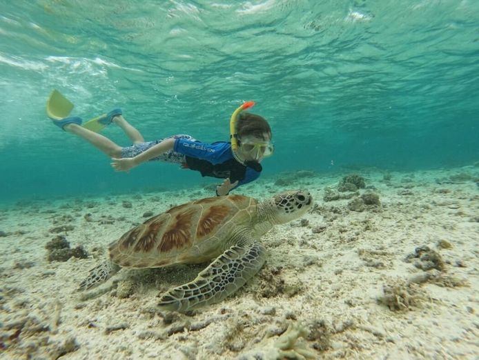 premiertourbusinessoncocoskeelingislandscocosislandsadventure