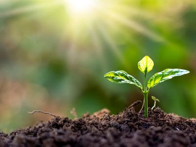 comprehensive-agricultural-solutions-business-victoria-0