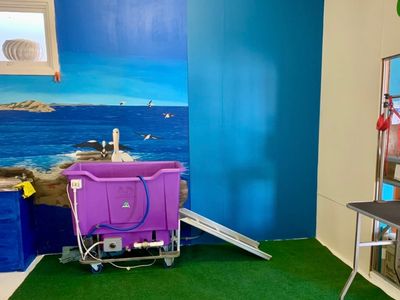 doggy-wellness-esperance-dream-dog-grooming-opportunity-make-an-offer-today-1