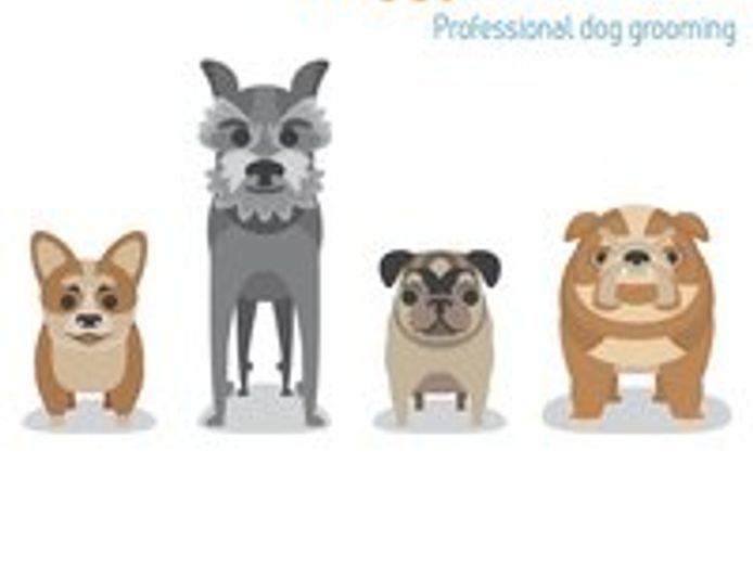 doggy-wellness-esperance-dream-dog-grooming-opportunity-make-an-offer-today-5