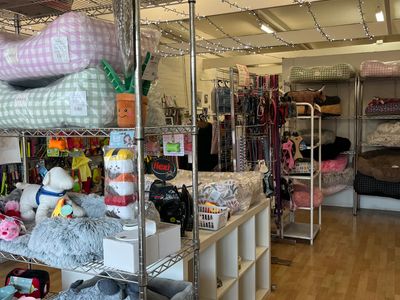 dog-grooming-salon-and-pet-retail-store-6