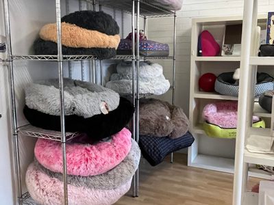 dog-grooming-salon-and-pet-retail-store-3