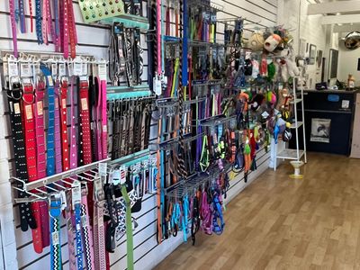 dog-grooming-salon-and-pet-retail-store-0