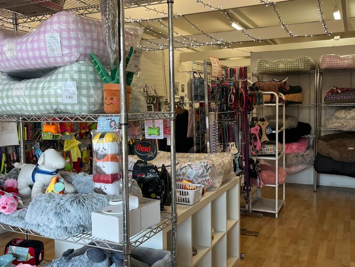 dog-grooming-salon-and-pet-retail-store-6