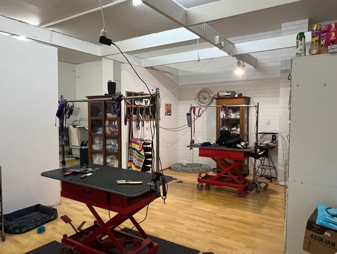 dog-grooming-salon-and-pet-retail-store-4