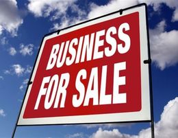 Struggling Business Urgent Sale