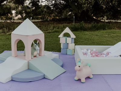 childrens-luxe-soft-play-party-business-excellent-following-beautiful-products-9