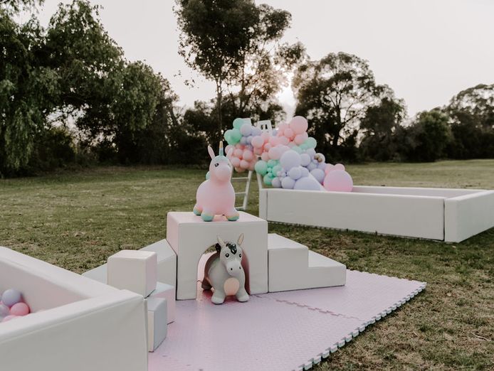 childrens-luxe-soft-play-party-business-excellent-following-beautiful-products-3