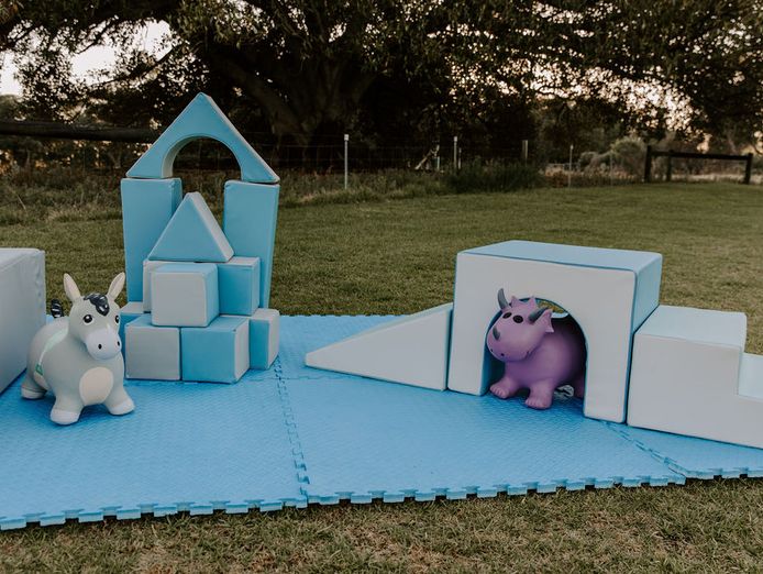 childrens-luxe-soft-play-party-business-excellent-following-beautiful-products-4