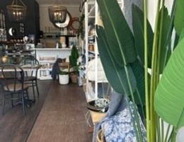 Homewares and Lifestyle Store 