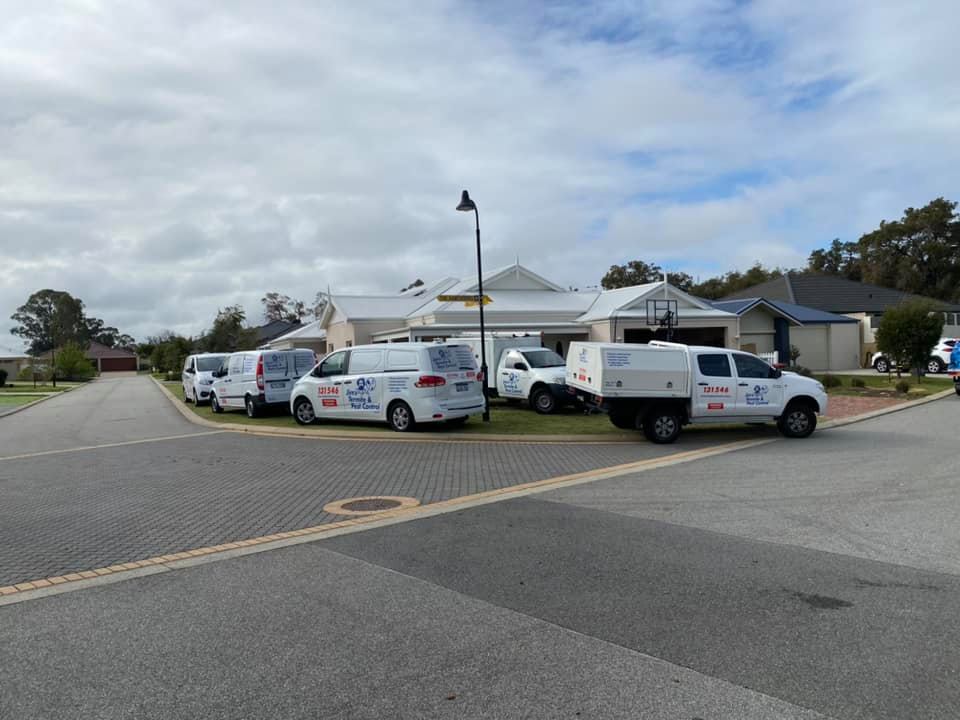 Osborn Park's Best Pest Control Franchise 2,000 pw guarantee