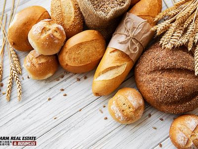 near-taylors-lakes-bakery-busy-and-stable-business-low-in-rent-0