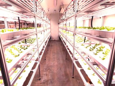 climate-controlled-greenhouse-equipment-amp-site-transfer-in-laverton-0