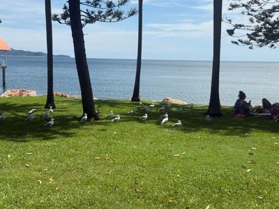 kiosk-on-the-strand-a-busy-scenic-location-that-cant-be-replicated-8