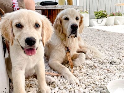 sirens-bayside-a-thriving-hospitality-business-built-on-genuine-community-love-4