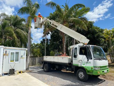 tree-services-vegetation-management-business-major-contract-strong-assets-0