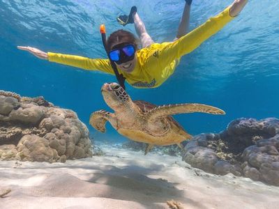 ocean-safari-safari-lodge-turtle-rock-cafe-accommodation-tourism-business-1