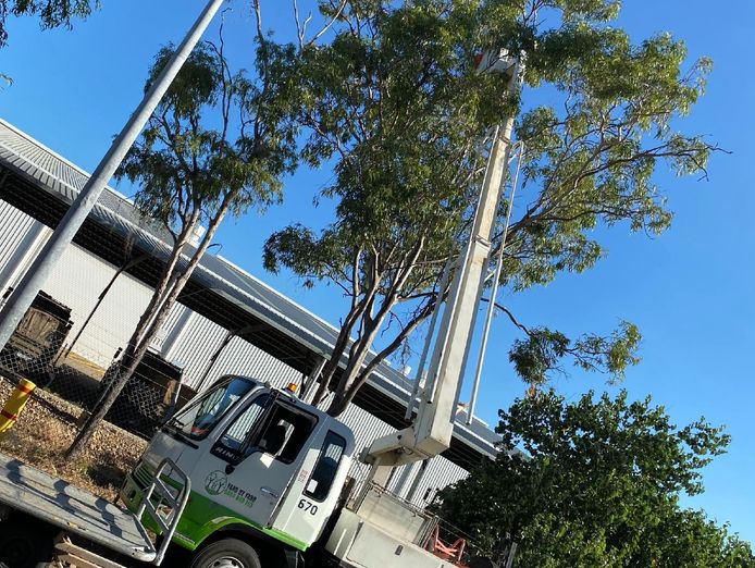 tree-services-vegetation-management-business-major-contract-strong-assets-2