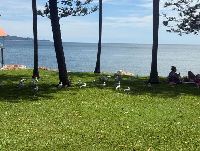 kiosk-on-the-strand-a-busy-scenic-location-that-cant-be-replicated-8