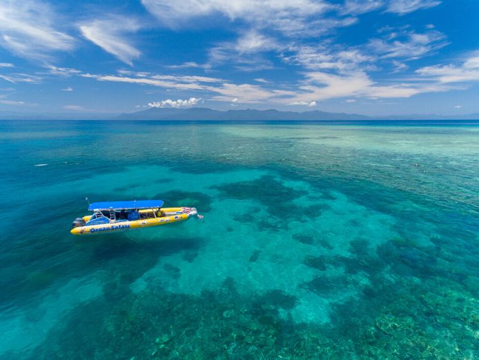 ocean-safari-safari-lodge-turtle-rock-cafe-accommodation-tourism-business-2