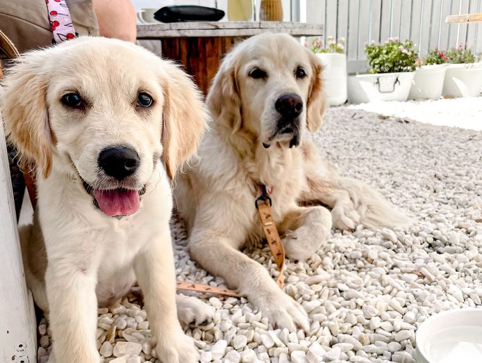 sirens-bayside-a-thriving-hospitality-business-built-on-genuine-community-love-4