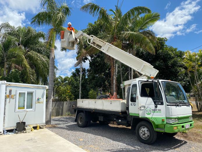 tree-services-vegetation-management-business-major-contract-strong-assets-0