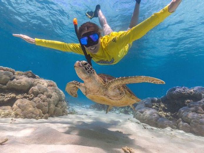 ocean-safari-safari-lodge-turtle-rock-cafe-accommodation-tourism-business-1