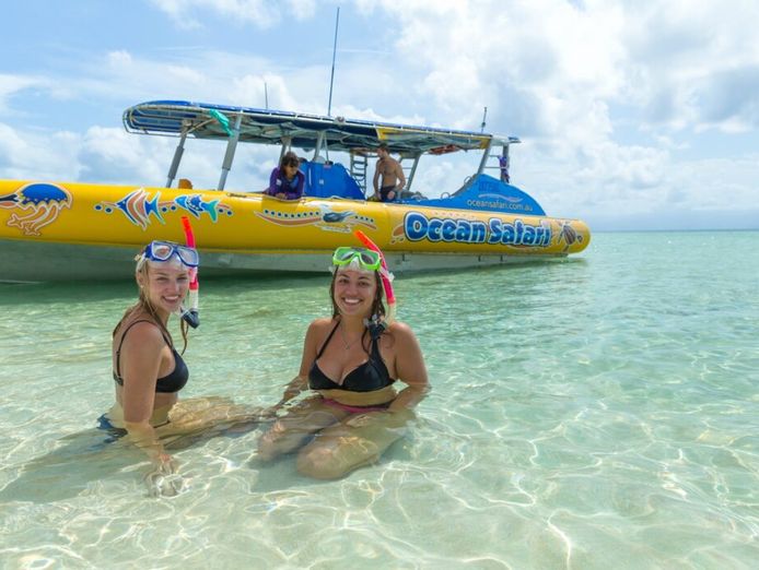 ocean-safari-safari-lodge-turtle-rock-cafe-accommodation-tourism-business-0