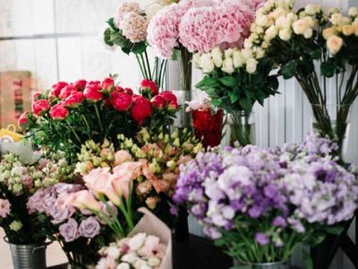lotterywest-news-fresh-flowers-1
