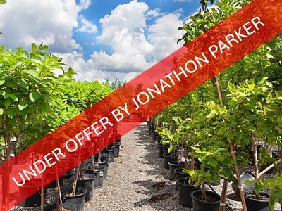 under-offer-well-established-metro-nursery-business-0