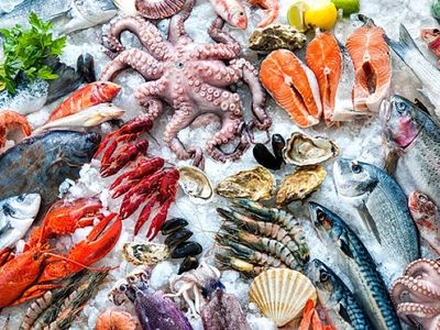 retail-seafood-outlet-strong-history-0