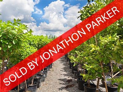 sold-well-established-metro-nursery-business-0