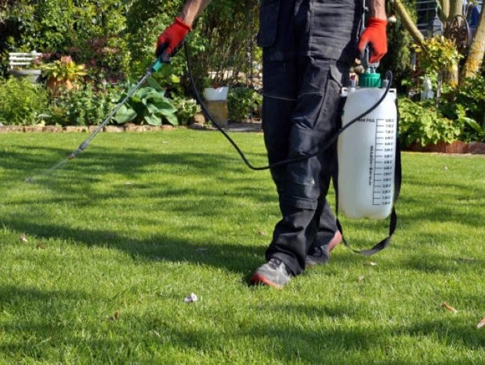 established-pest-control-business-with-growth-potential-0