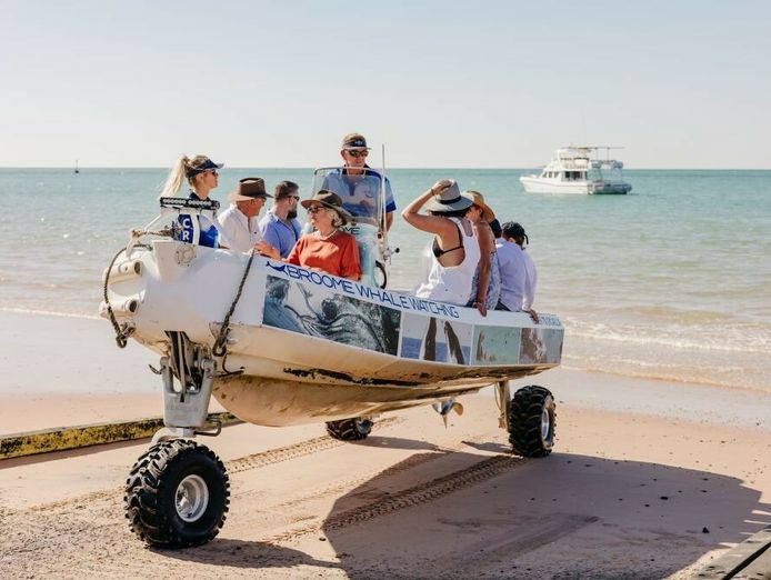 broome-whale-watching-1