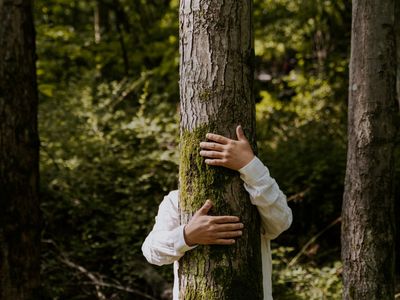 leading-b2b-tree-service-company-2