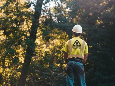 leading-b2b-tree-service-company-5