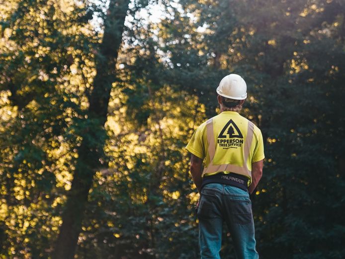 leading-b2b-tree-service-company-5