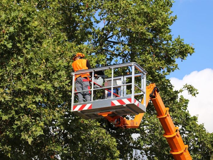 leading-b2b-tree-service-company-9