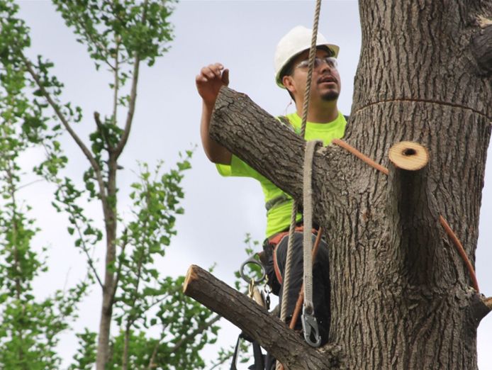 leading-b2b-tree-service-company-7