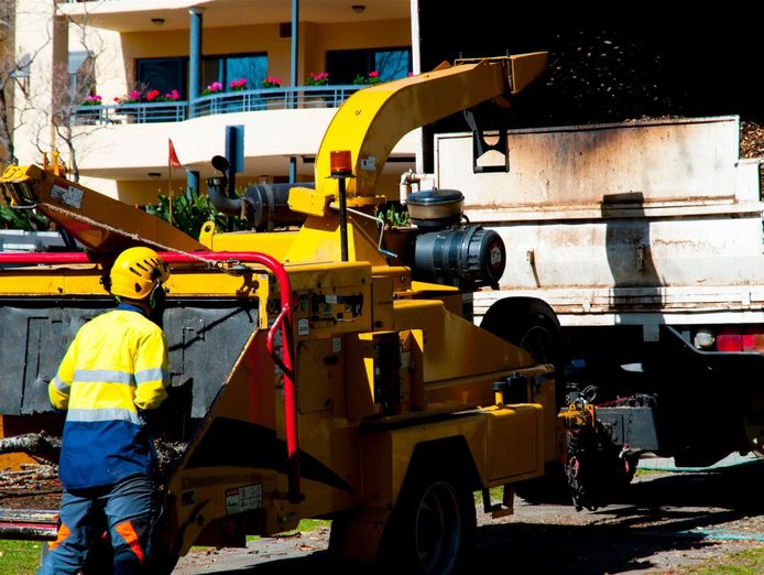 leading-b2b-tree-service-company-4