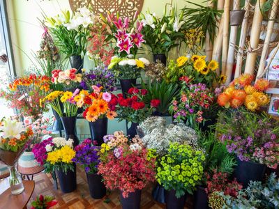 long-established-florist-for-sale-mid-north-coast-nsw-3